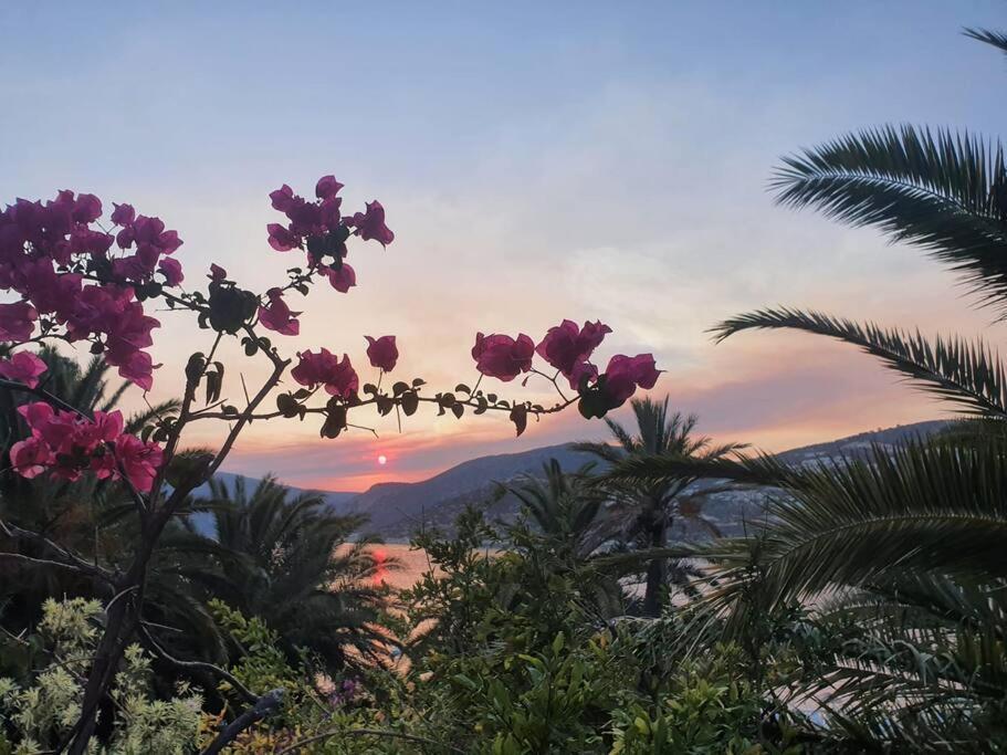 Cactus Garden Kalkan - Club Patara Villas Exterior photo